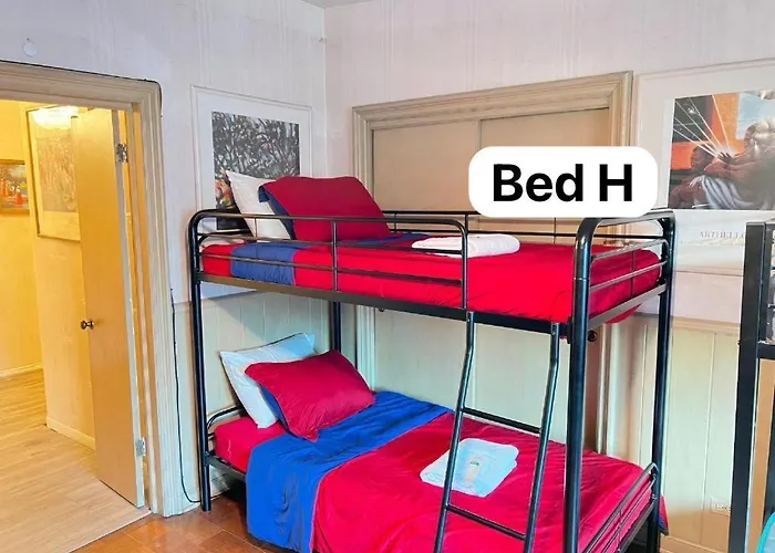 Pill Hill Mansion Hostel Chicago